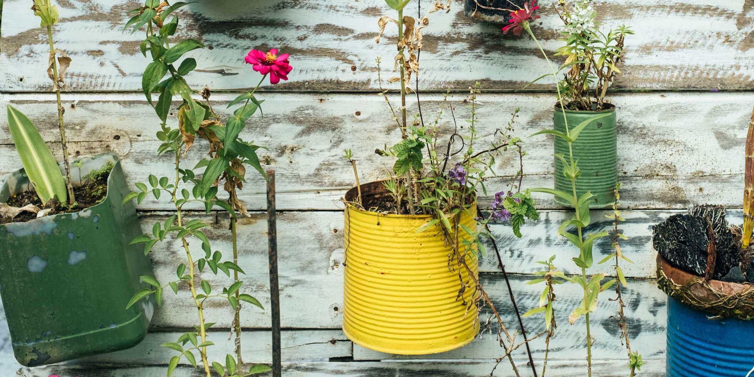 Finding the Right Way to Rightsize, Reuse + Recycle